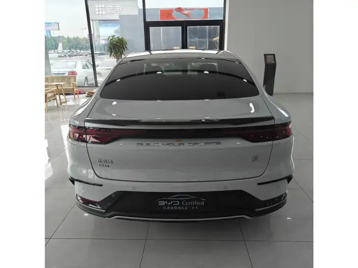 BYD Han DM 2024 Model DM-i Honor Edition 121KM Noble Model – фото 3