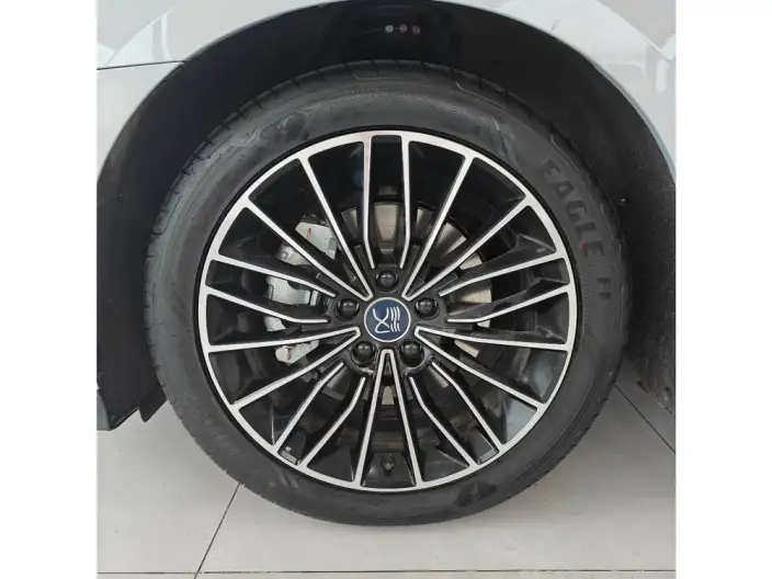 BYD Han DM 2024 Model DM-i Honor Edition 121KM Noble Model – фото 6