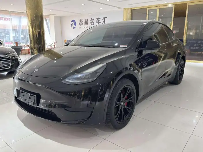 Model Y 2022 Model Facelift Rear-wheel drive version – фото 1