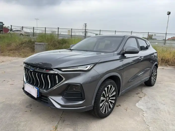 Changan Oshan X5 2022 Model Sports Edition 1.5T DCT Whirlwind Charge