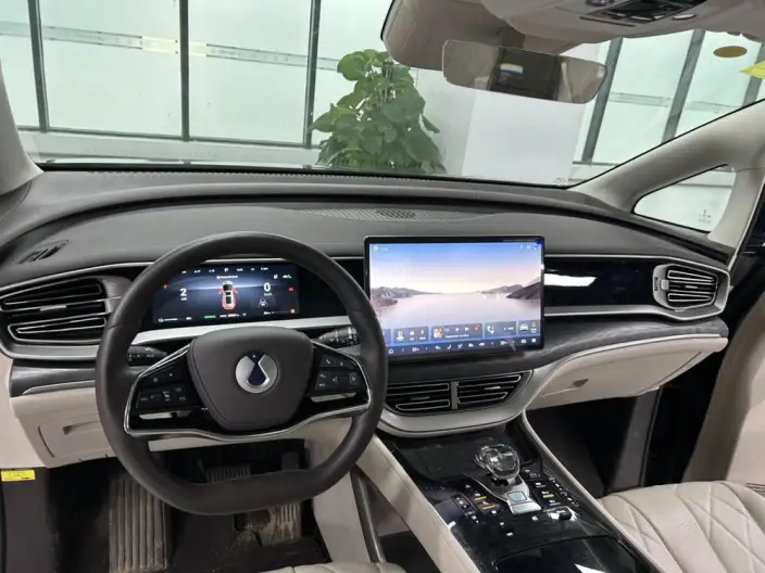 DENZA D9 DM 2024 Model 980 4WD Noble Model – фото 8