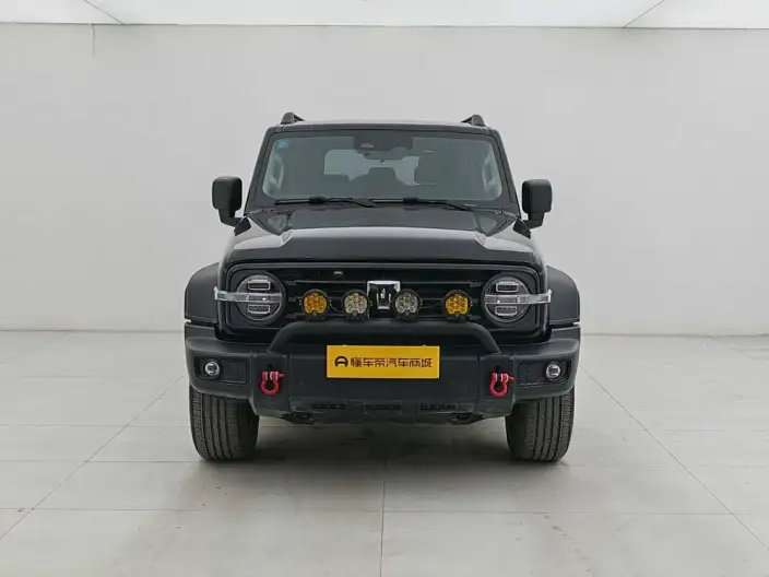 Tank 300 2024 Model 2.0T Challenger – фото 2