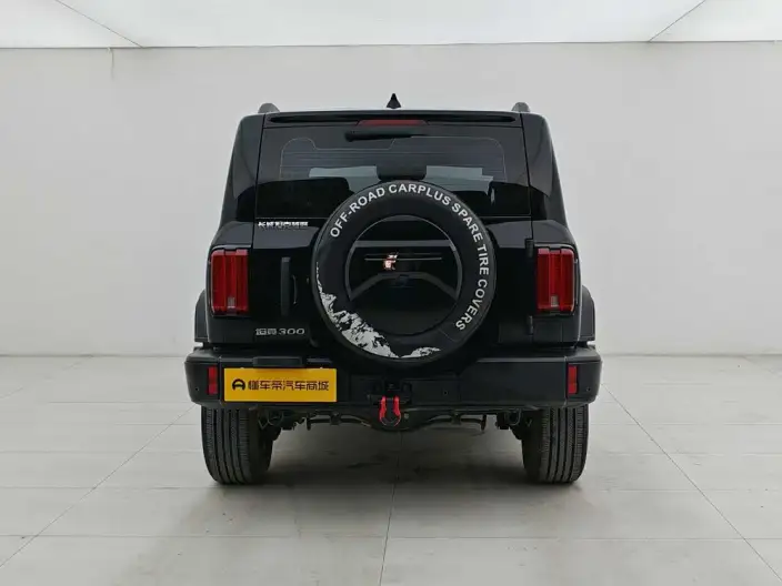 Tank 300 2024 Model 2.0T Challenger – фото 6