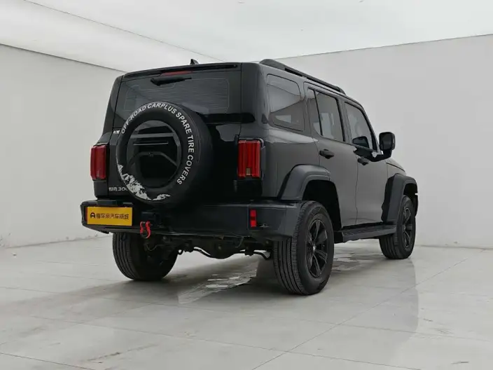 Tank 300 2024 Model 2.0T Challenger – фото 7