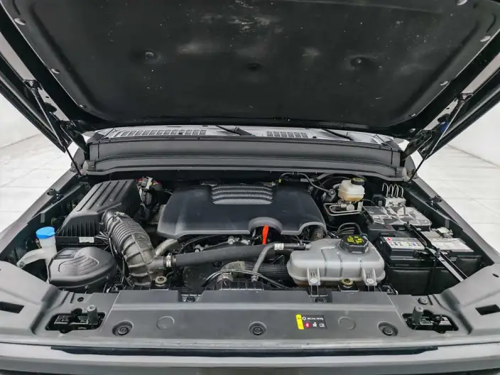 Tank 300 2024 Model 2.0T Challenger – фото 10