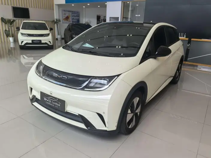 BYD Dolphin 2023 Model Fashion Edition – фото 1