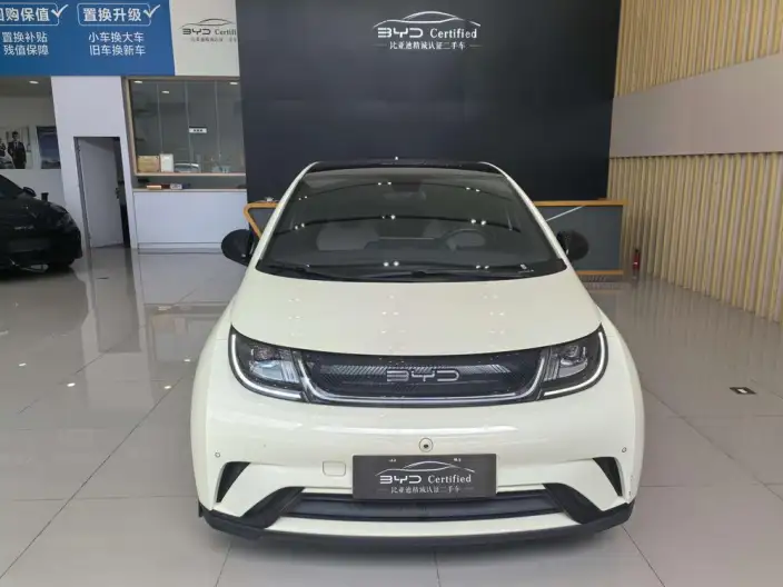 BYD Dolphin 2023 Model Fashion Edition – фото 2