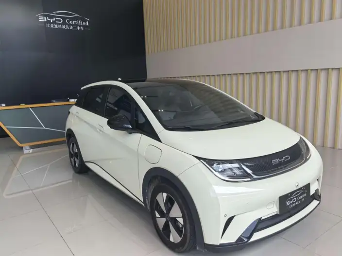 BYD Dolphin 2023 Model Fashion Edition – фото 3