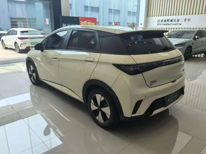 BYD Dolphin 2023 Model Fashion Edition – фото 4
