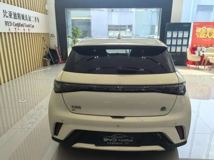 BYD Dolphin 2023 Model Fashion Edition – фото 5