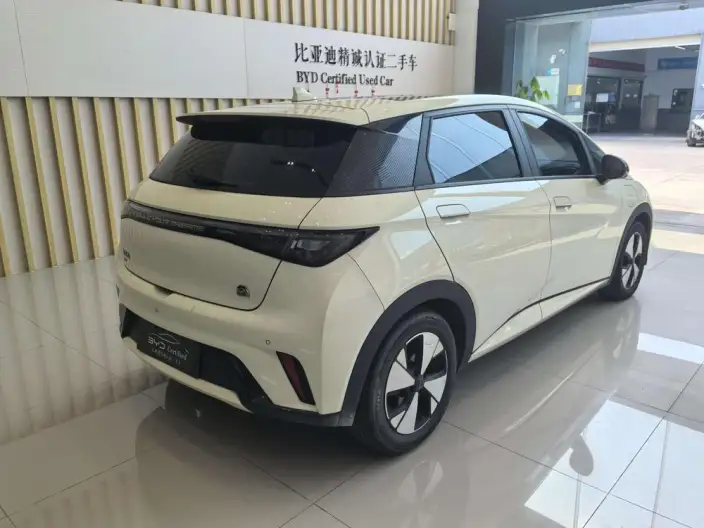 BYD Dolphin 2023 Model Fashion Edition – фото 6