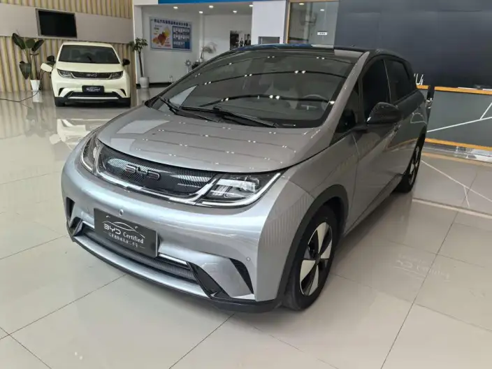 BYD Dolphin 2023 Model Fashion Edition – фото 1