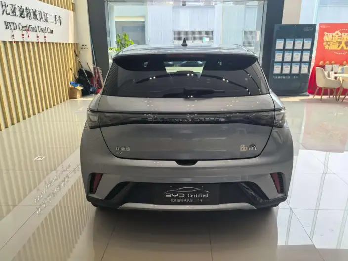BYD Dolphin 2023 Model Fashion Edition – фото 5
