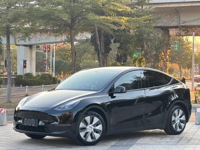 Tesla Model Y 2021 Standard Range RWD – фото 1