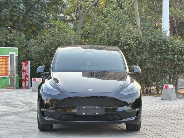 Tesla Model Y 2021 Standard Range RWD – фото 2