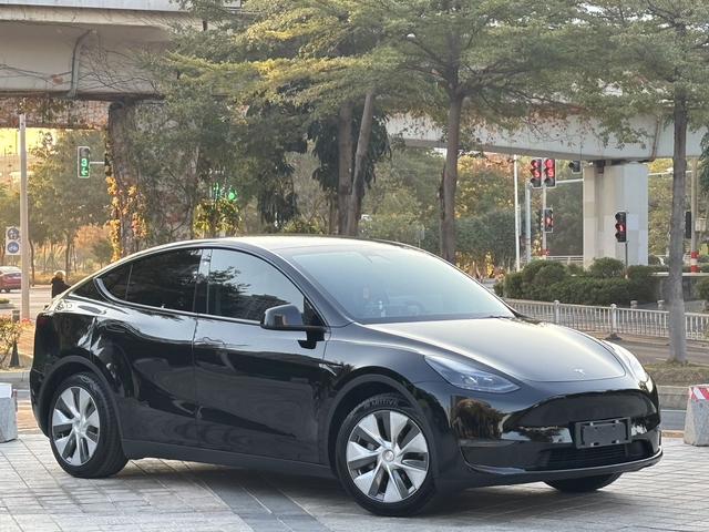 Tesla Model Y 2021 Standard Range RWD – фото 3