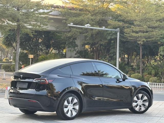 Tesla Model Y 2021 Standard Range RWD – фото 10