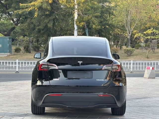 Tesla Model Y 2021 Standard Range RWD – фото 11