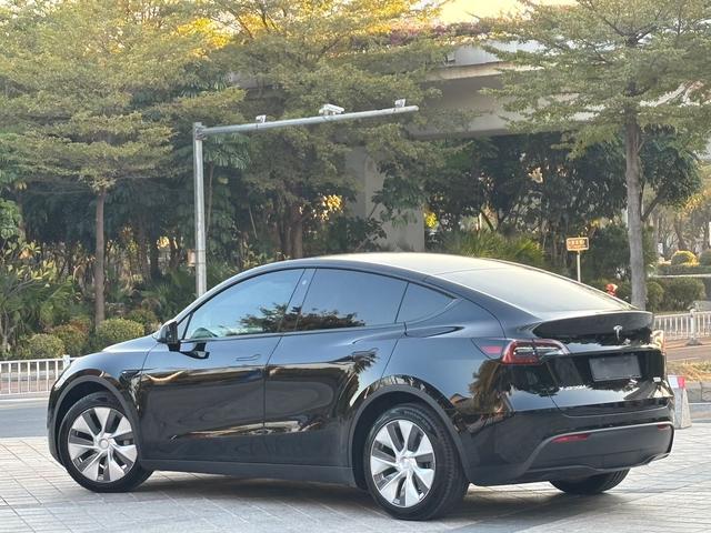 Tesla Model Y 2021 Standard Range RWD – фото 12