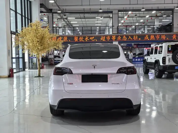 Model Y 2022 Model Facelift Rear-wheel drive version – фото 6