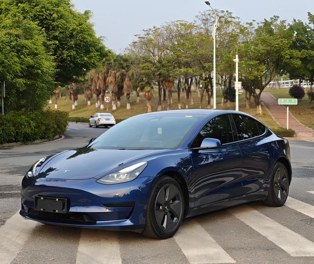 Tesla Model 3 2021 Standard Range RWD Upgraded – фото 1