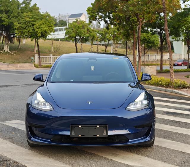 Tesla Model 3 2021 Standard Range RWD Upgraded – фото 2