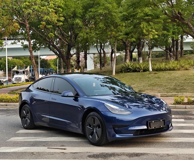 Tesla Model 3 2021 Standard Range RWD Upgraded – фото 3