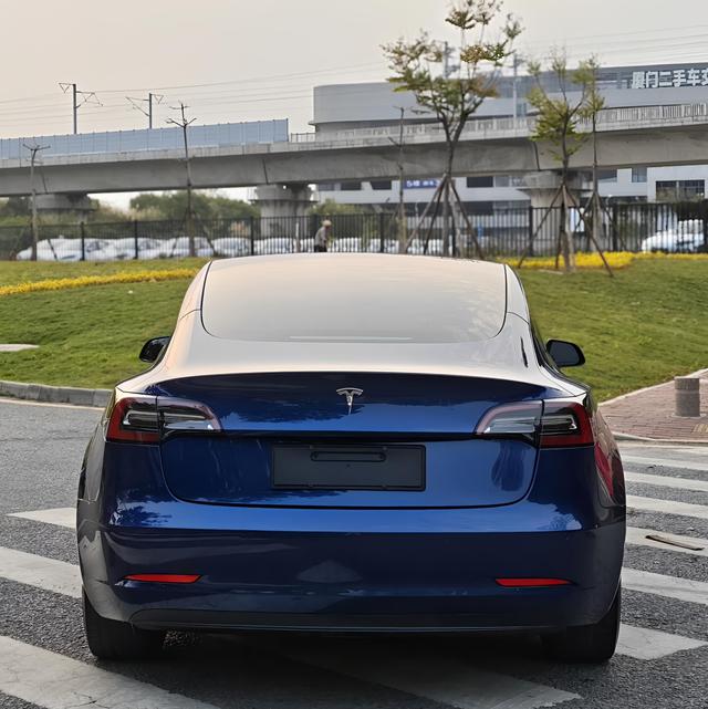 Tesla Model 3 2021 Standard Range RWD Upgraded – фото 8
