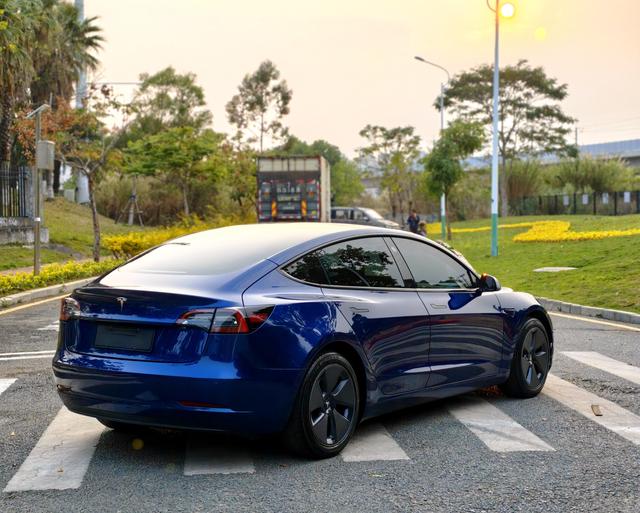 Tesla Model 3 2021 Standard Range RWD Upgraded – фото 9