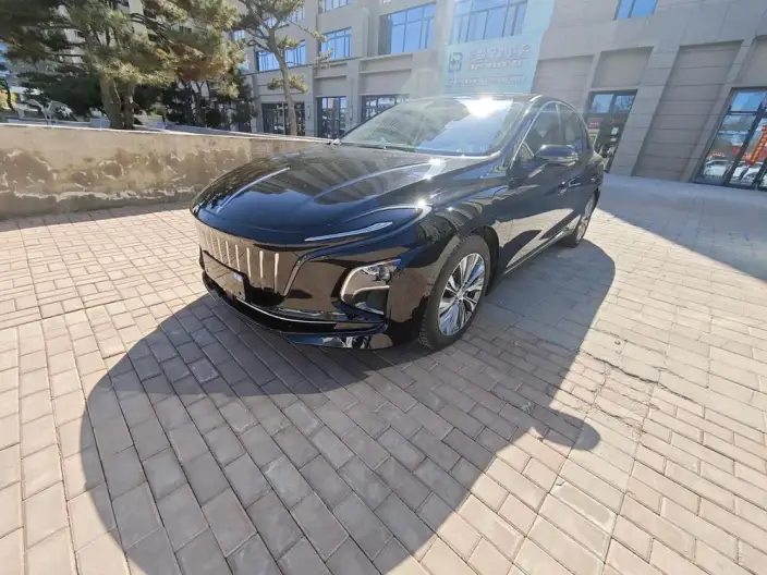 Hongqi E-QM5 2024 Model 450KM Travel Edition 100kW – фото 10