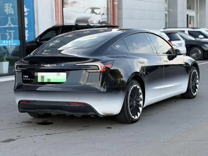 Model 3 2023 Model Long Battery Life Pro All-wheel drive version – фото 4
