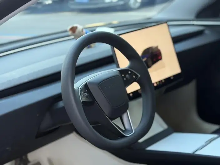 Model 3 2023 Model Long Battery Life Pro All-wheel drive version – фото 9
