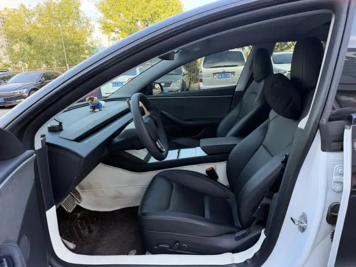 Model 3 2023 Model Long Battery Life Pro All-wheel drive version – фото 10