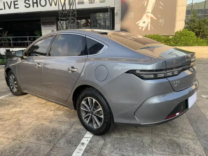 BYD Destroyer 05 2024 Model Honor Edition DM-i 55KM Luxury Model – фото 4