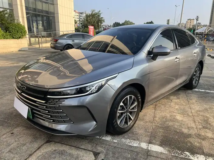 BYD Destroyer 05 2024 Model Honor Edition DM-i 55KM Luxury Model – фото 10