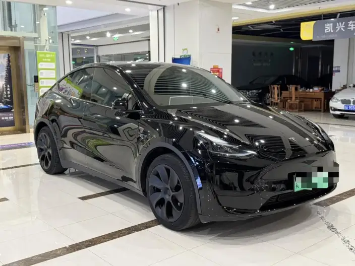 Model Y 2023 Model Rear-wheel drive version – фото 3