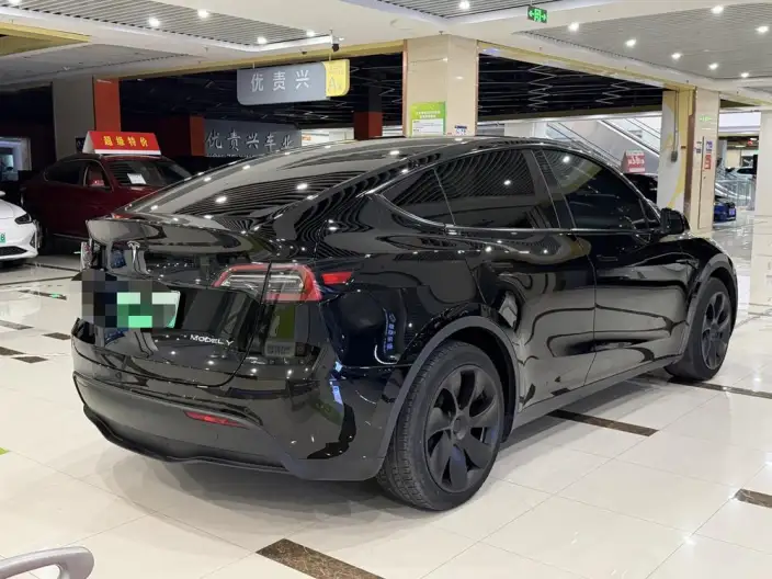 Model Y 2023 Model Rear-wheel drive version – фото 6