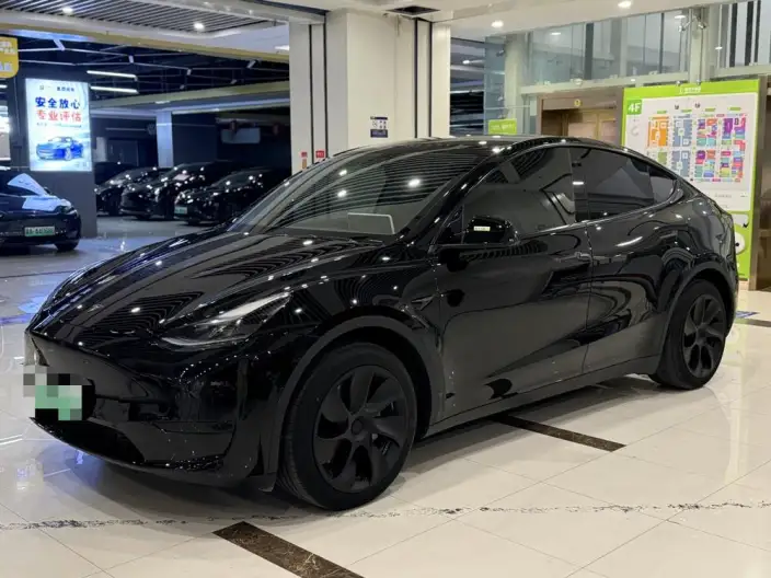 Model Y 2023 Model Rear-wheel drive version – фото 10