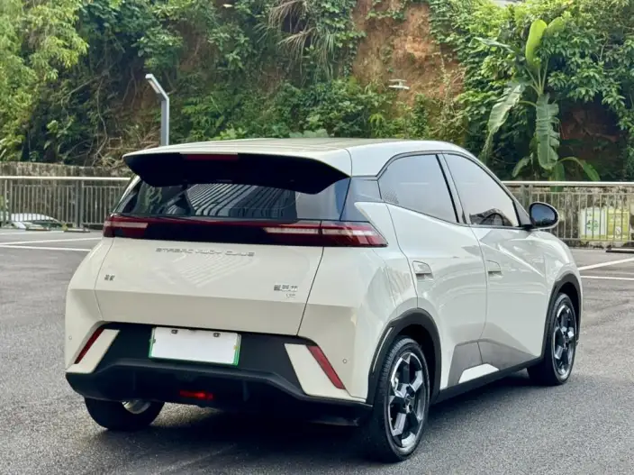 BYD Seagull 2023 Model Free Edition – фото 7