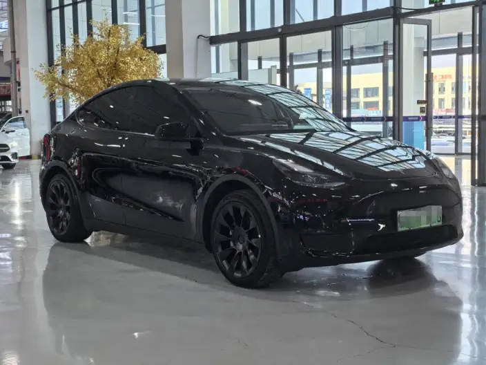 Model Y 2022 Model Facelift Rear-wheel drive version – фото 3
