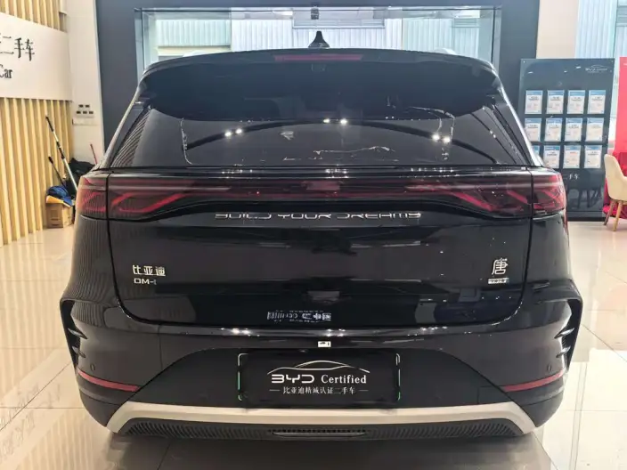BYD Tang DM 2025 Model Smart Driving Edition DM-i 115KM Flagship Model – фото 5