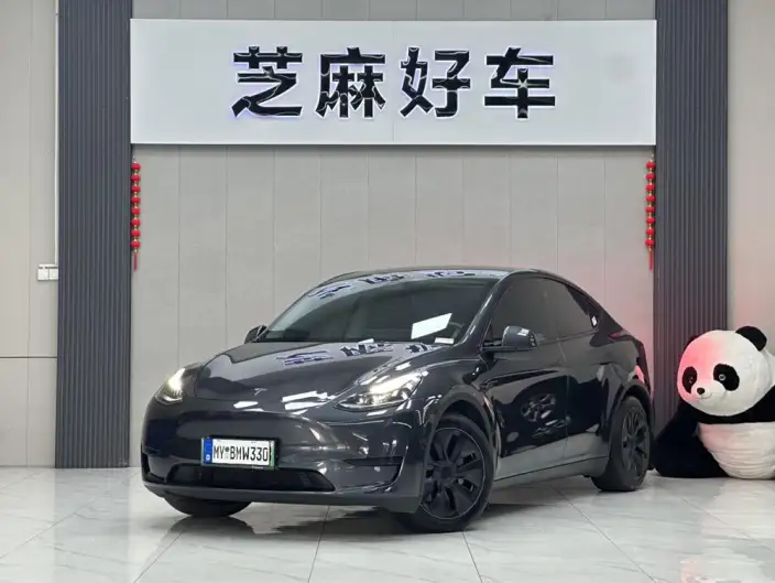 Model Y 2024 Model Rear-wheel drive version – фото 1