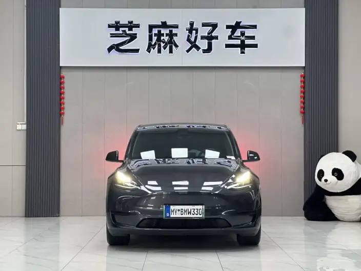 Model Y 2024 Model Rear-wheel drive version – фото 2