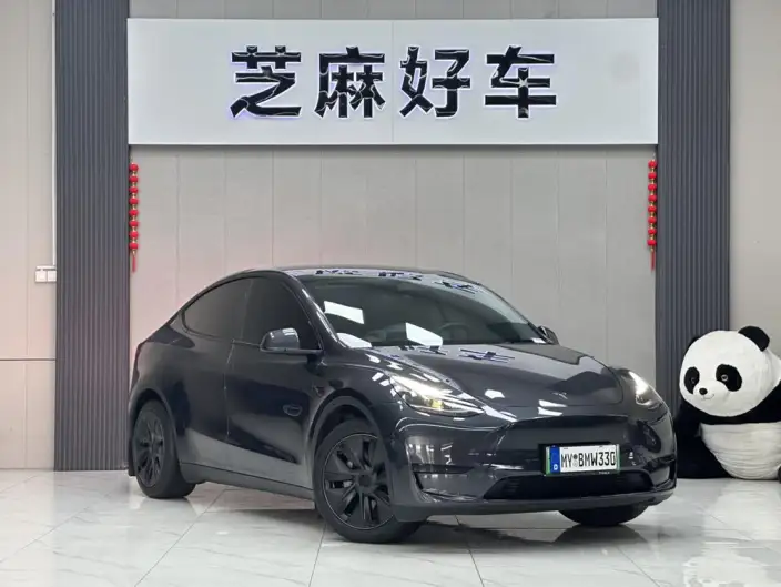 Model Y 2024 Model Rear-wheel drive version – фото 3