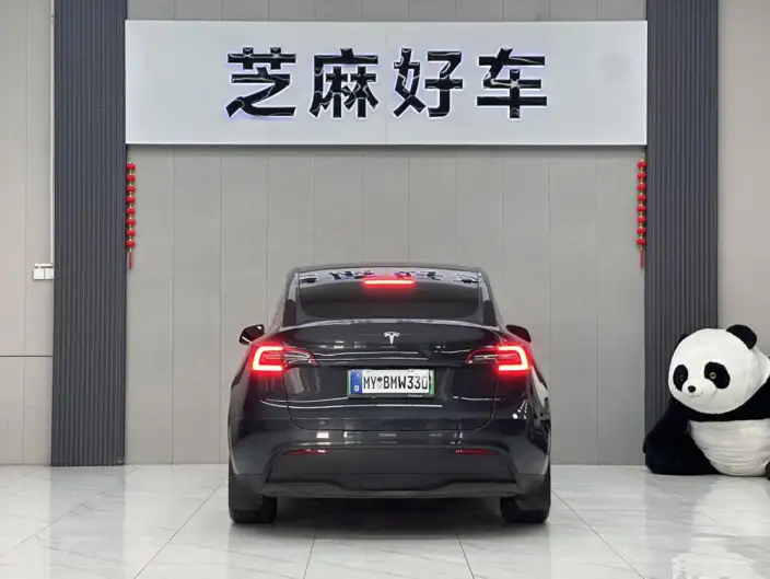 Model Y 2024 Model Rear-wheel drive version – фото 5