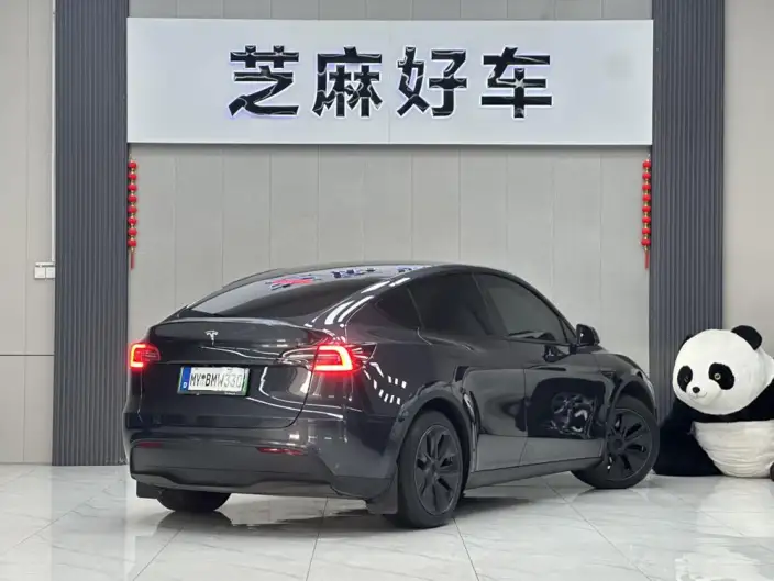 Model Y 2024 Model Rear-wheel drive version – фото 6