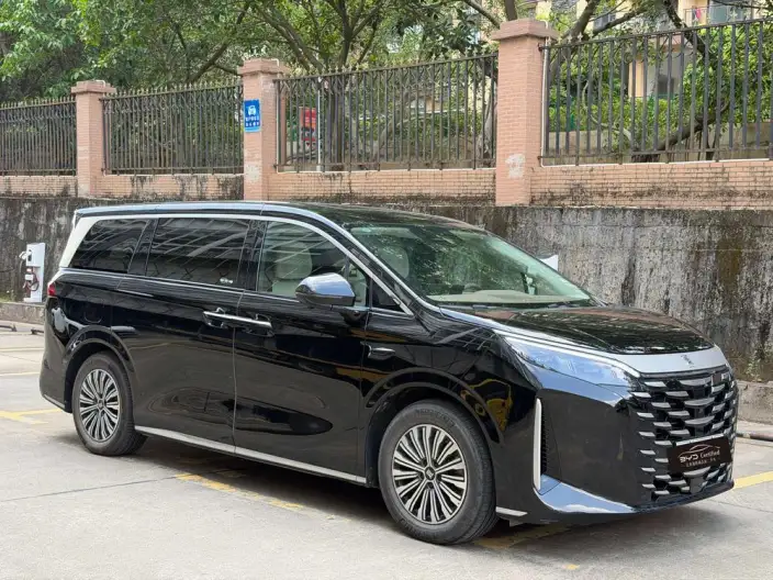 Xia 2025 Model DM-i 180KM Excellence Model – фото 3