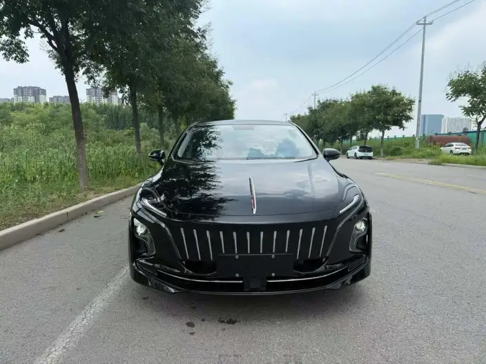 Hongqi E-QM5 2024 Model 450KM Travel Edition 100kW – фото 2