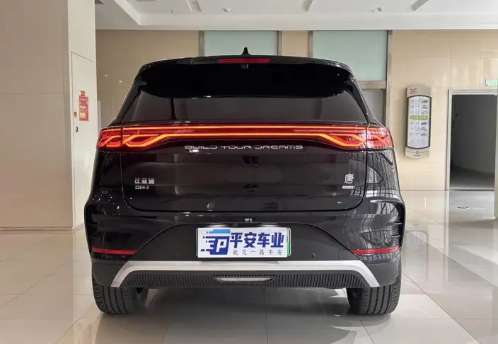 BYD Tang DM 2025 Model Smart Driving Edition DM-i 115KM Noble Model – фото 5