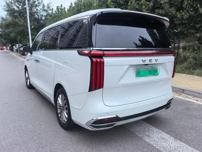 Wey Gaoshan P HEV 2023 Model 4WD Ultimate Edition – фото 4